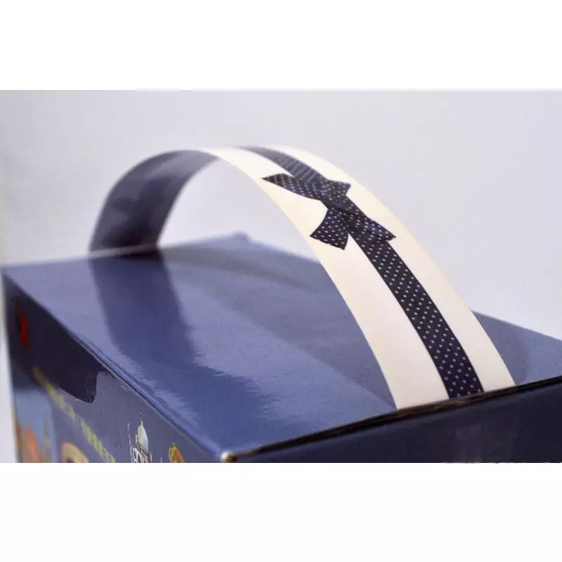 carry handle 2